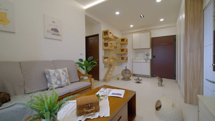 Wood Paws 寵物宅 客廳